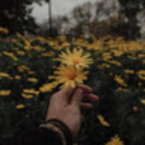 Meet your Posher, Ruby